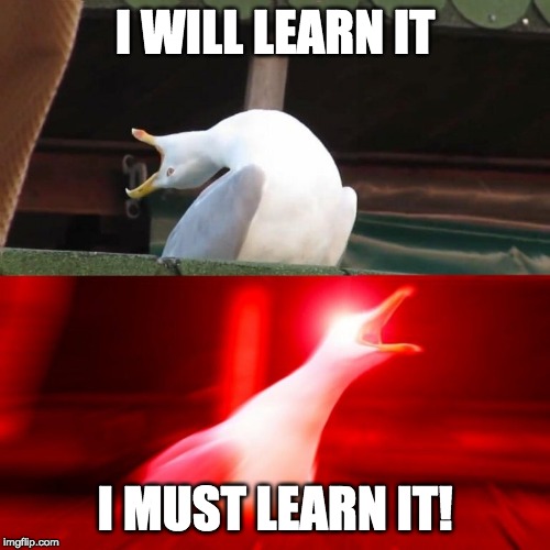 i-must-learn-it